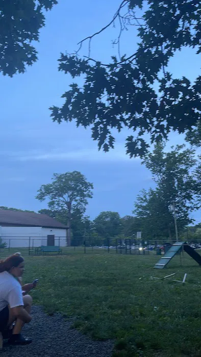 Dog Park Picture 1
