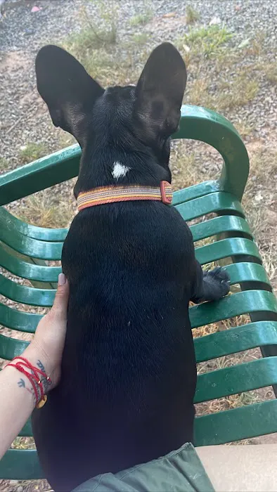 Dog Park Picture 2