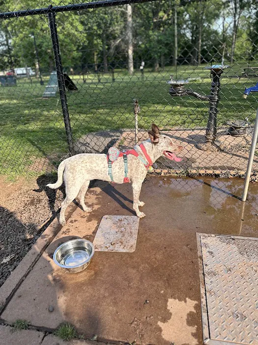 Dog Park Picture 5