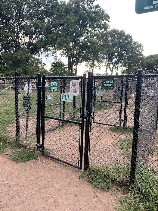 Dog Park Picture 3