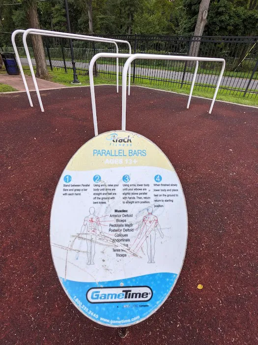Calisthenics Park Picture 4