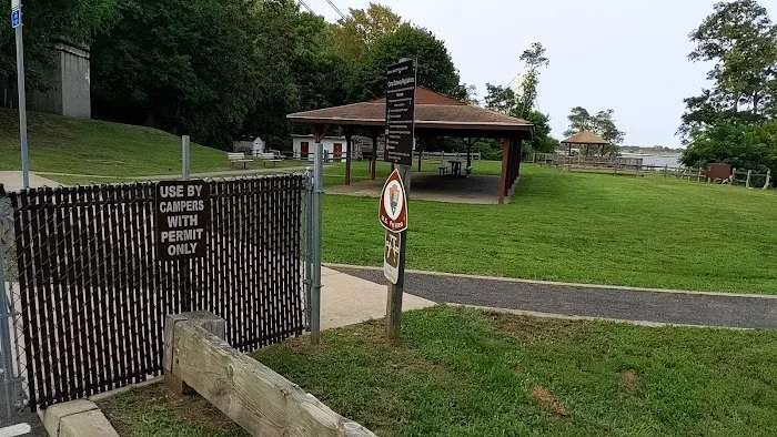 Fort Wadsworth Campsite Picture 8