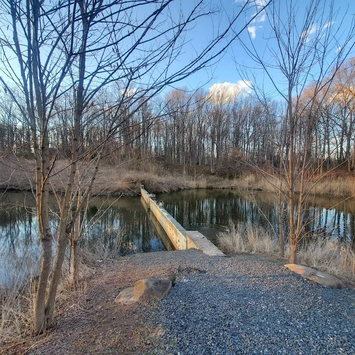 Sweet Brook Bluebelt Picture 7
