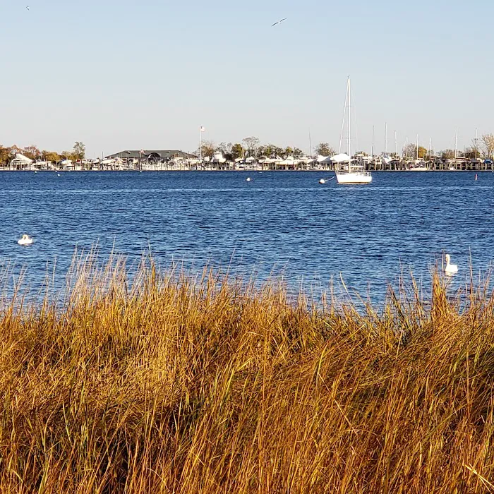 Seaside Wildlife Nature Park Picture 9