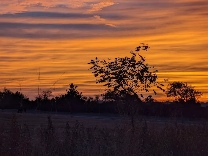Great Kills Park Picture 5