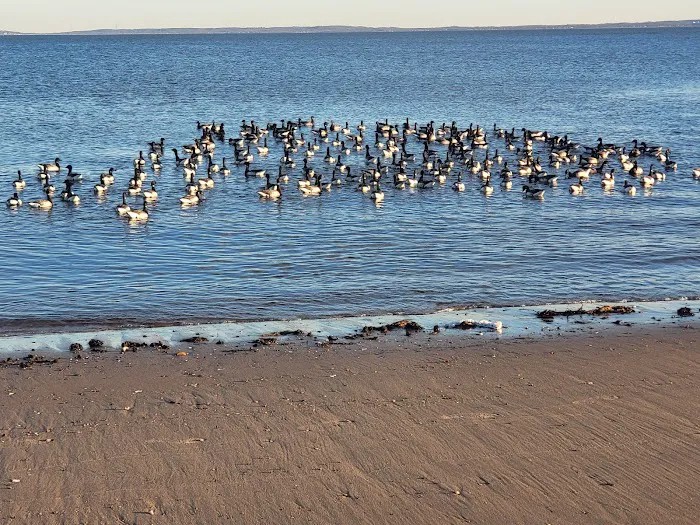 Crescent Beach Park Picture 2