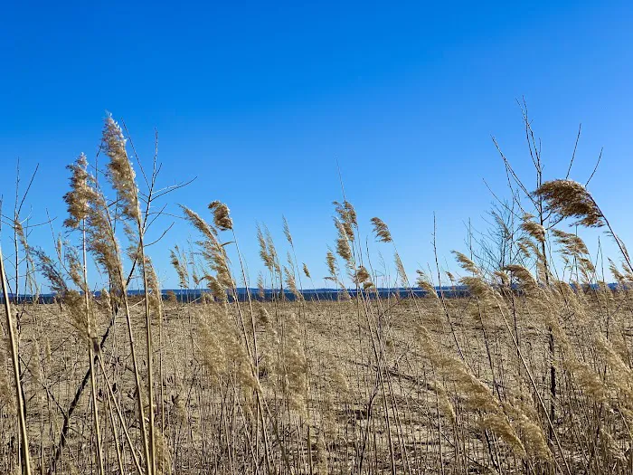 Crescent Beach Park Picture 3