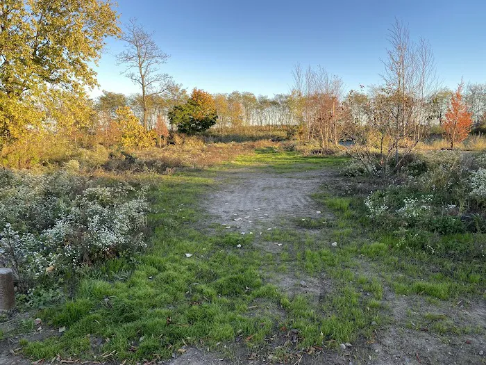 Crescent Beach Park Picture 8