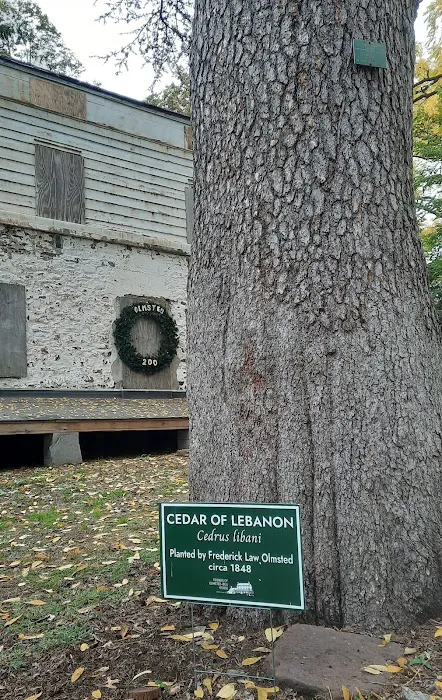 Olmsted-Beil House Park Picture 2
