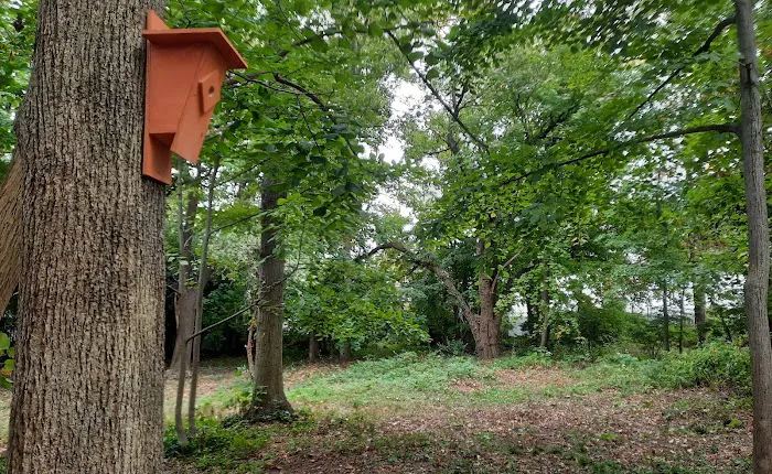 Olmsted-Beil House Park Picture 7