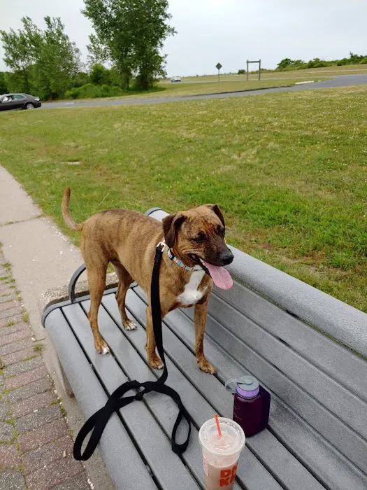 Gateway Park, Great Kills Harbor Picture 8