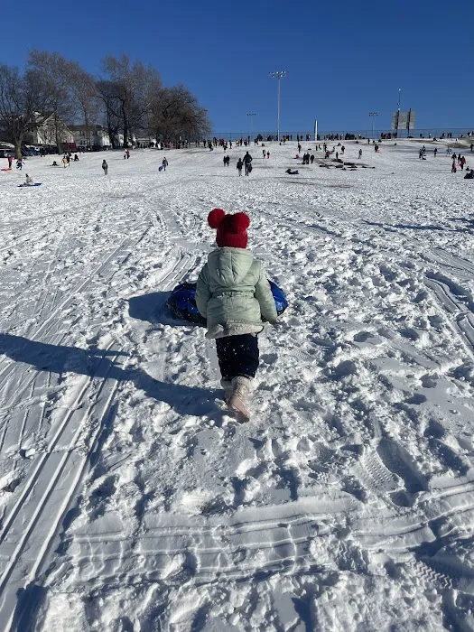 Bunny Hill Picture 4