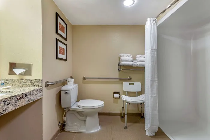 Comfort Suites Newark - Harrison Picture 3