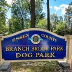 Essex County Branch Brook Park Dog Park