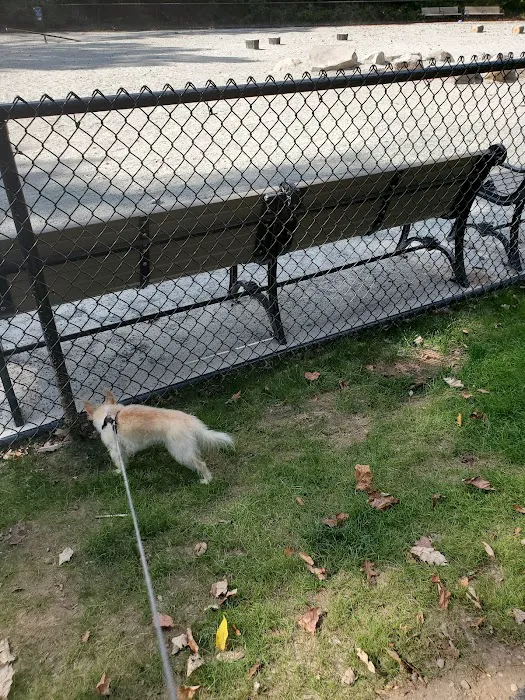 Essex County Branch Brook Park Dog Park Picture 5
