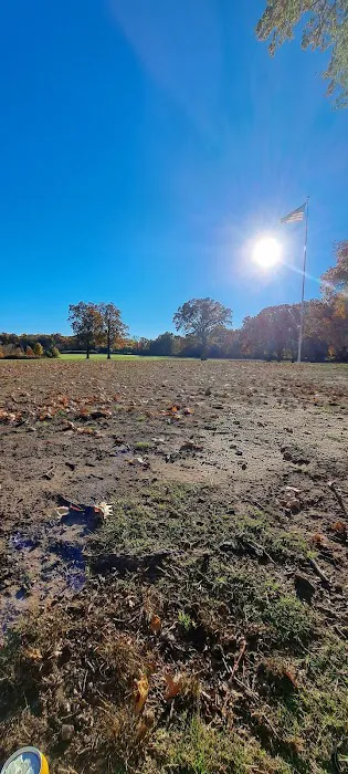 Essex County Branch Brook Park Dog Park Picture 8