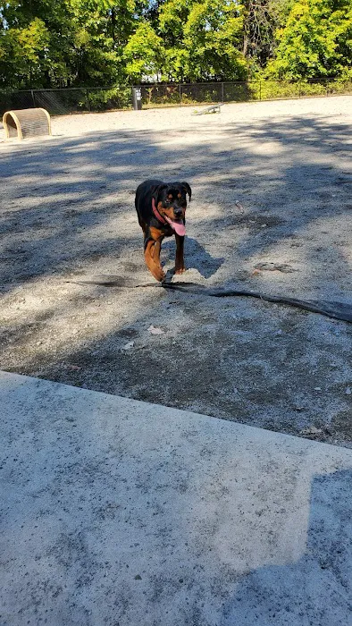 Essex County Branch Brook Park Dog Park Picture 7