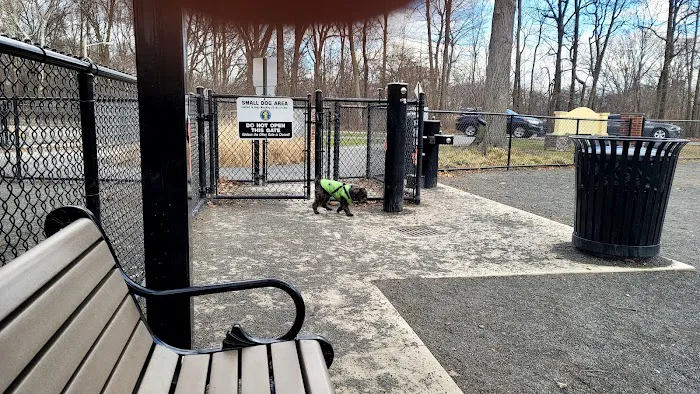 Essex County Branch Brook Park Dog Park Picture 9