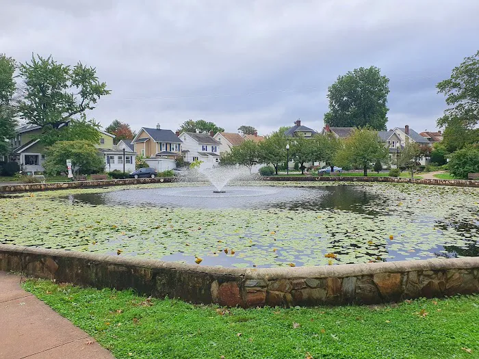 Halcyon Park Picture 2