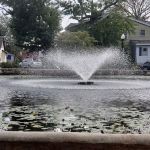 Halcyon Park