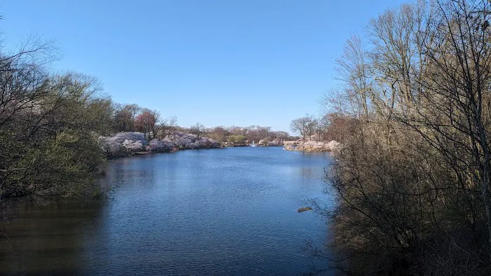 Branch Brook Park Picture 3