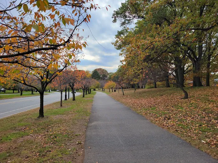 Branch Brook Park Picture 6