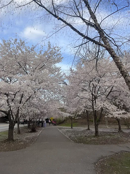 Branch Brook Park Picture 1