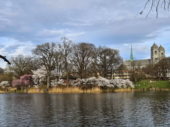 Branch Brook Park Picture 10