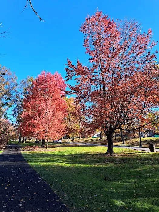 Branch Brook Park Picture 8