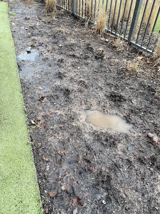Dog park Picture 3