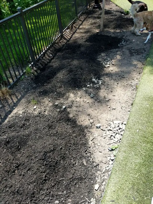 Dog park Picture 2
