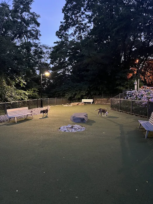 Dog park Picture 8