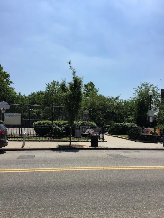 Sgt Anthony Park Community Garden Picture 1