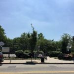 Sgt Anthony Park Community Garden