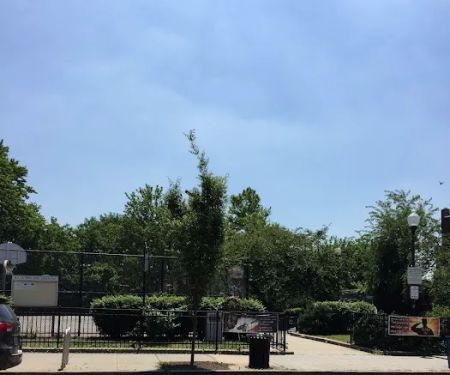 Sgt Anthony Park Community Garden