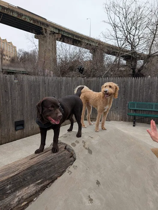 Dog Park Picture 2