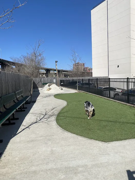 Dog Park Picture 1