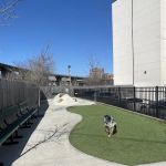 Dog Park