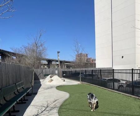 Dog Park