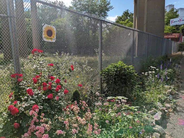 NewOrk Avenue Garden Picture 2