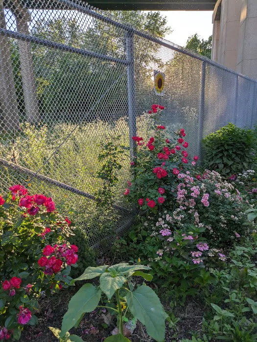 NewOrk Avenue Garden Picture 6