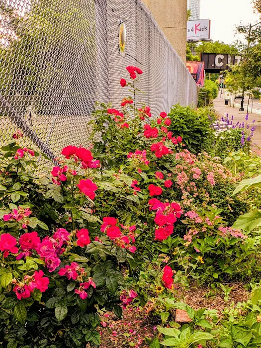 NewOrk Avenue Garden Picture 3