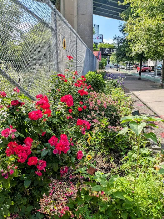 NewOrk Avenue Garden Picture 7