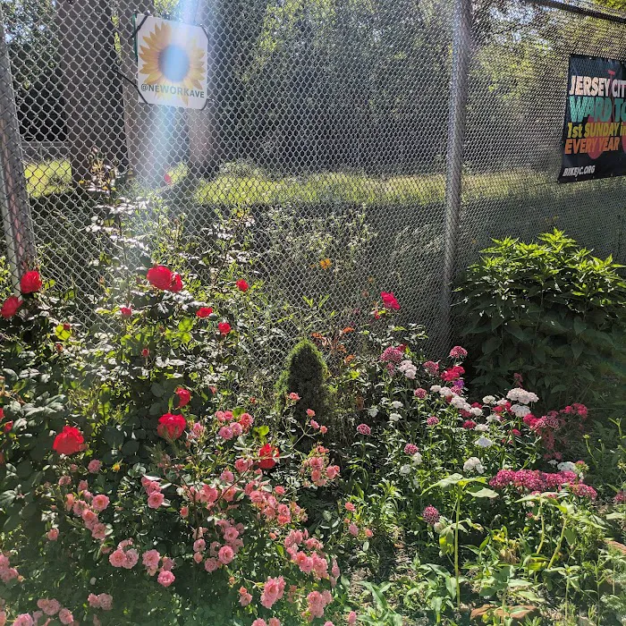 NewOrk Avenue Garden Picture 10