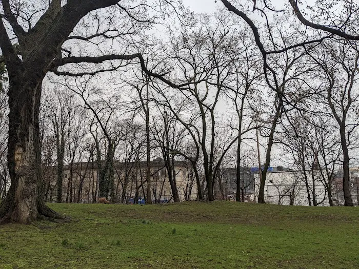 Bergen Hill Park Picture 4