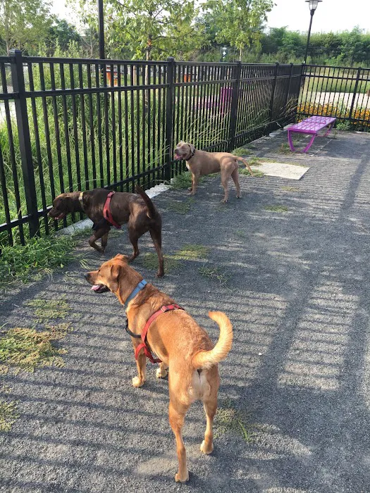 Berry Lane Park Picture 10