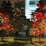 Walker Lawn