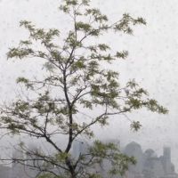 Stevens Institute Viewpoint at UCC Residential Towers ico