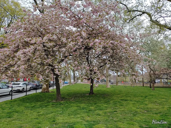 Stevens Park Picture 6