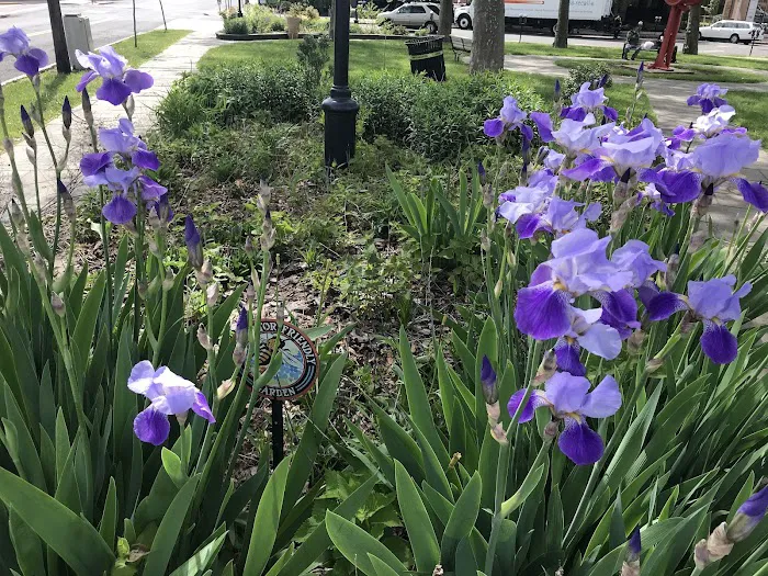 Crane Park Picture 6